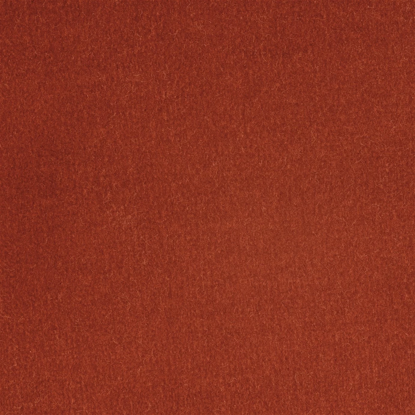 Habitat Fenner Velvet Accent Chair - Orange 5 Habitat Fenner Velvet Accent Chair - Orange - Image 3