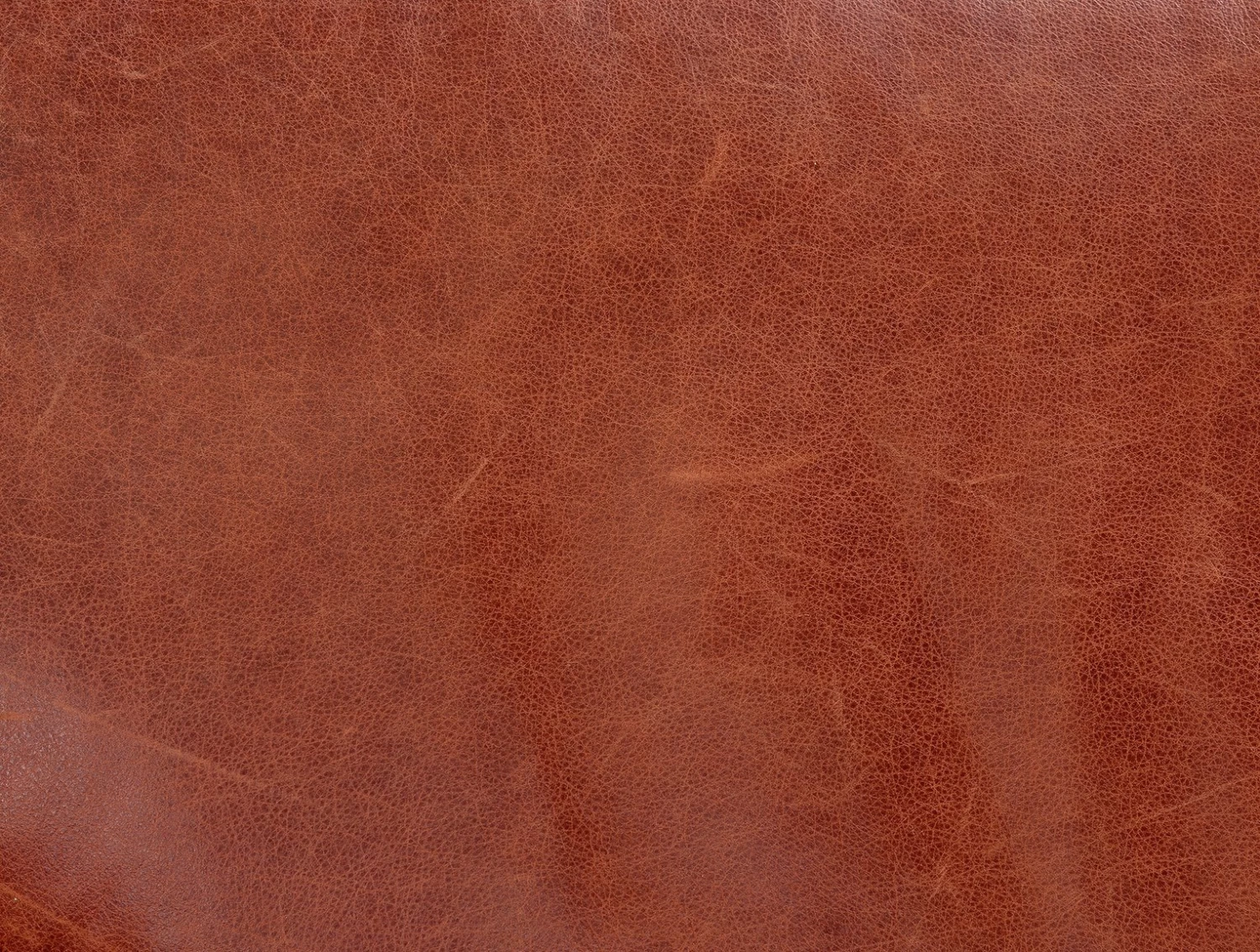 Habitat Livingston Leather 3 Seater Sofa - Tan 5 Habitat Livingston Leather 3 Seater Sofa - Tan - Image 3