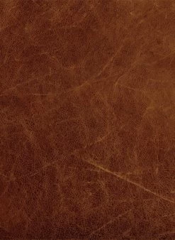 Habitat Livingston Leather 2 Seater Sofa - Tan 7 Habitat Livingston Leather 2 Seater Sofa - Tan -Sofa Discount Store 5599712 R B001