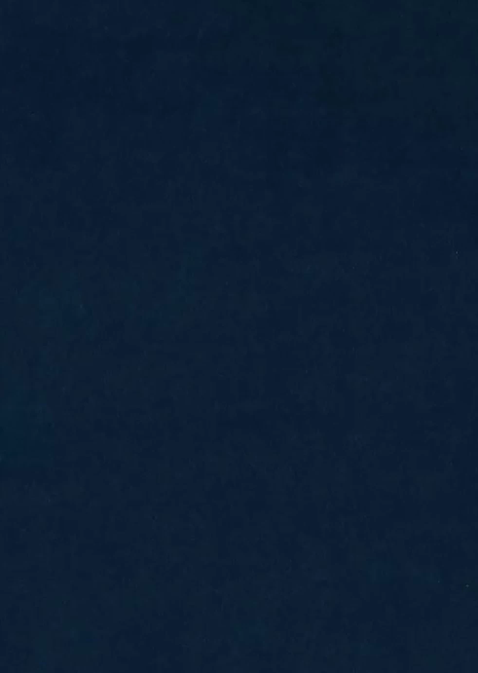 Habitat Chesterfield Velvet Armchair - Blue 5 Habitat Chesterfield Velvet Armchair - Blue - Image 3